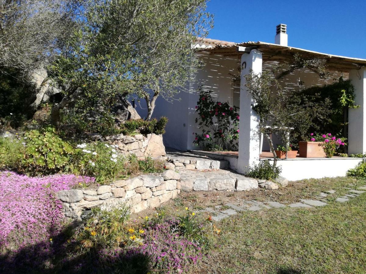 Agriturismo La Valletta Hotel Santa Teresa Gallura Exterior foto