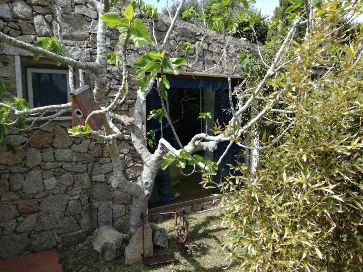 Agriturismo La Valletta Hotel Santa Teresa Gallura Exterior foto